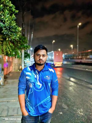 MD. MUKTADIRUL ISLAM